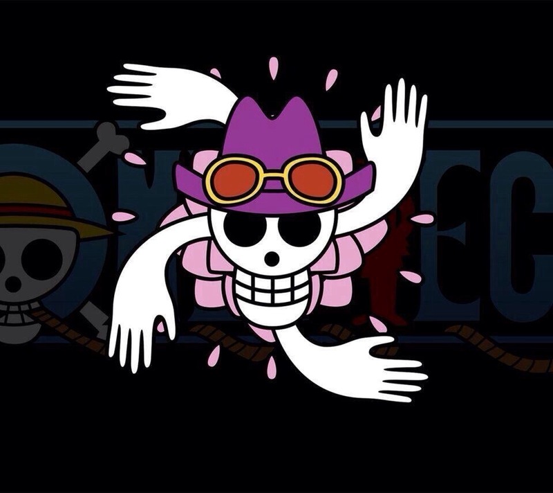 海贼王船员骷髅标志长图哦 具有收藏意义 还可以做头像