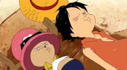 这些也都算是海贼王的特色了吧 大家看看乐一乐吧