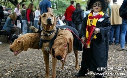 国外漫展上的cosplay，挺多都神形兼备啊,这难道就是传说中的种族天赋!!!!