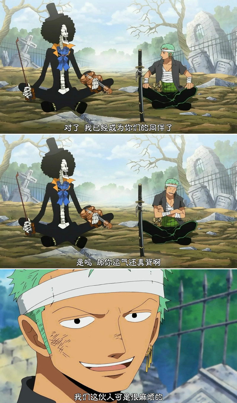 #海贼王# 肯定麻烦啊，一个白痴船长带领着一个路痴，一个色河童，一个财迷，一个胆小鬼，一只萌宠，一个腹黑女和一个变态，现在又多了个骷髅。简直不敢想象我怎么会喜欢上这样一群家伙！（扶额......）