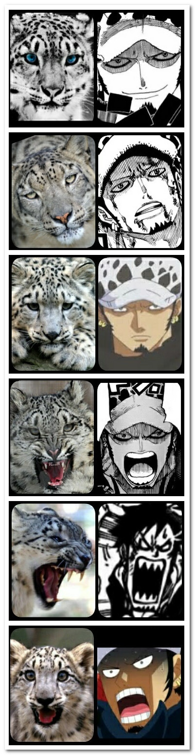 特拉法尔加劳表情神同步有木有？