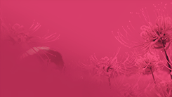 #东京食尸鬼# 不要问我是否再相逢 不要管我是否言不由衷