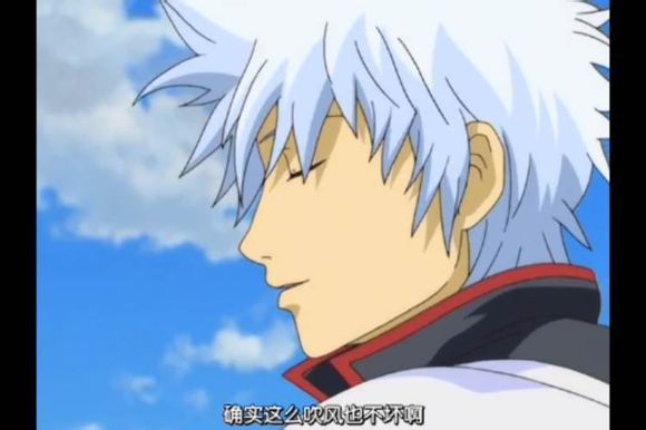 #银魂#银tm只要一玩文艺清新范，就喜闻乐见了，小清新走起！！