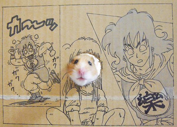 #海贼王#感觉自己萌萌哒！