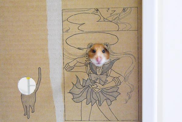 #海贼王#感觉自己萌萌哒！