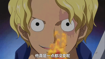  路飞真是一点都没变呢