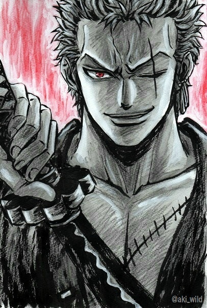 【绘师推荐】AKI，主要作品是罗，坷垃松和明哥系列，也画些男子汉系列 #海贼王#