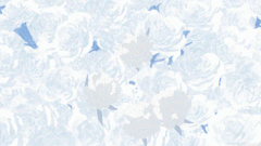 #东京食尸鬼# 弱小的人能够保护什么?又能拯救谁,如果没有力量的话,只能等待被杀死和掠夺