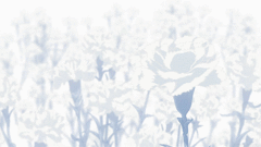 #东京食尸鬼# 弱小的人能够保护什么?又能拯救谁,如果没有力量的话,只能等待被杀死和掠夺