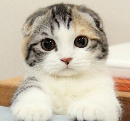 我喜欢就这样看着你 看到你喜欢我为止。纯洁的小荡妇！~