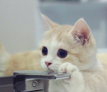 我喜欢就这样看着你 看到你喜欢我为止。纯洁的小荡妇！~