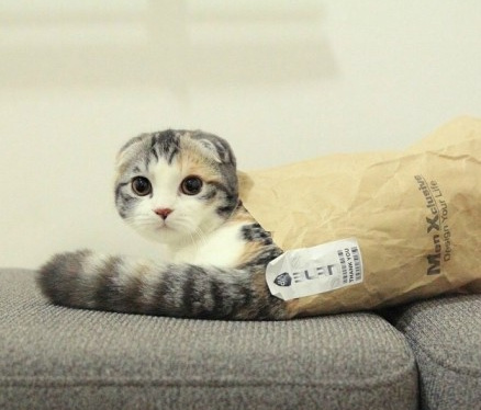 我喜欢就这样看着你 看到你喜欢我为止。纯洁的小荡妇！~