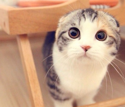 我喜欢就这样看着你 看到你喜欢我为止。纯洁的小荡妇！~