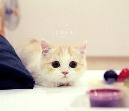 我喜欢就这样看着你 看到你喜欢我为止。纯洁的小荡妇！~