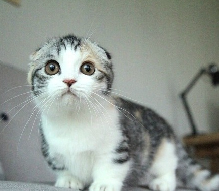 我喜欢就这样看着你 看到你喜欢我为止。纯洁的小荡妇！~