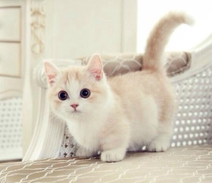 我喜欢就这样看着你 看到你喜欢我为止。纯洁的小荡妇！~