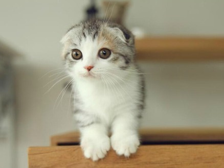 我喜欢就这样看着你 看到你喜欢我为止。纯洁的小荡妇！~