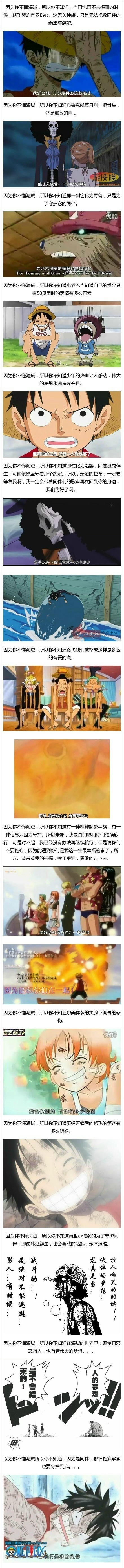 唤起尘封的记忆，细数海贼王中烟花般绚烂而感动的定格。