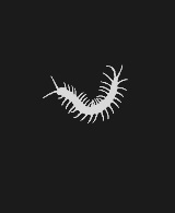 #东京食尸鬼# 用简易的动物图标代表东京食尸鬼里面的某个人物（组织）。你能猜出对应的都是谁么？