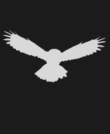 #东京食尸鬼# 用简易的动物图标代表东京食尸鬼里面的某个人物（组织）。你能猜出对应的都是谁么？