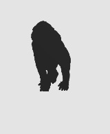 #东京食尸鬼# 用简易的动物图标代表东京食尸鬼里面的某个人物（组织）。你能猜出对应的都是谁么？