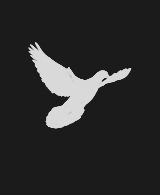 #东京食尸鬼# 用简易的动物图标代表东京食尸鬼里面的某个人物（组织）。你能猜出对应的都是谁么？