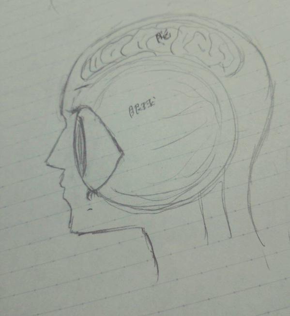 原来这就是少女漫的真相