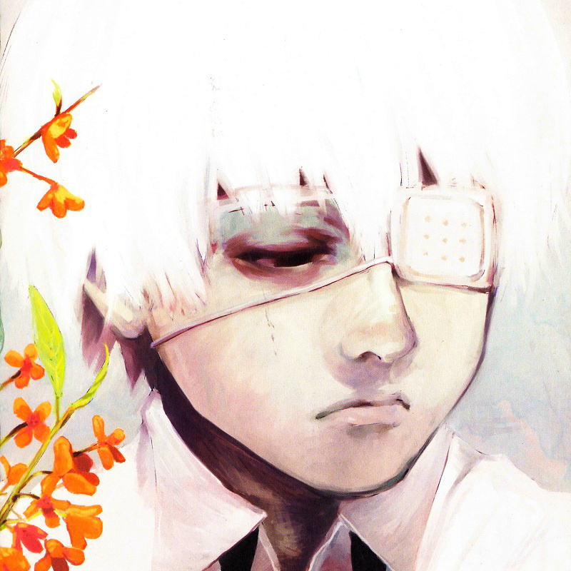 #东京食尸鬼# 官方人设的金木大合集。头像尺寸。