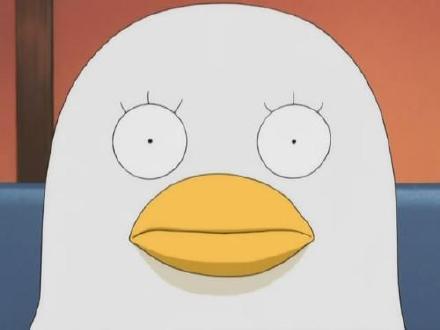 如果在这些动漫萌宠中选一只做现实宠物，你选哪一只(｡・`ω´･)