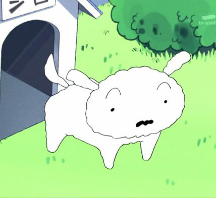 如果在这些动漫萌宠中选一只做现实宠物，你选哪一只(｡・`ω´･)