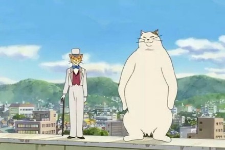 #动漫语录#人是要长大的，有天你也会推着婴儿车幸福地在街上行走，而曾经的喜欢，不管曾经怎样，都会幻化成风，消失在时光的隧道。所以向前走，向前走，无须回头。 ——宫崎骏《猫的报恩》