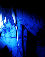 #东京食尸鬼# 今天是壁虎的生日，虽然大家可能不是很喜欢他，不过好歹也是作者创造的角色嘛。还是要对他说一声：生日快乐！！