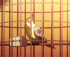 #东京食尸鬼# 动画里面出现过的小动物们。