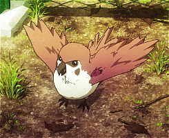 #东京食尸鬼# 动画里面出现过的小动物们。