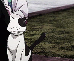 #东京食尸鬼# 动画里面出现过的小动物们。