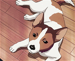 #东京食尸鬼# 动画里面出现过的小动物们。