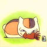 娘口三三[可怜]