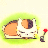 娘口三三[可怜]