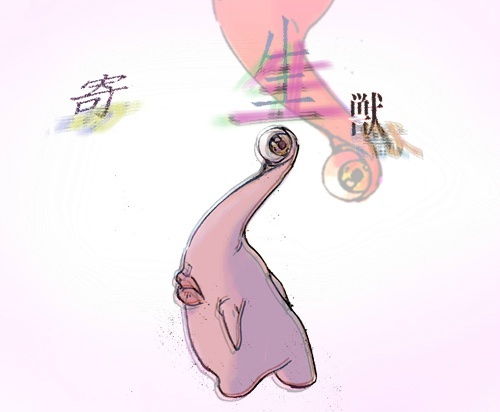 #寄生兽#小右X泉新一 pixiv：49443251