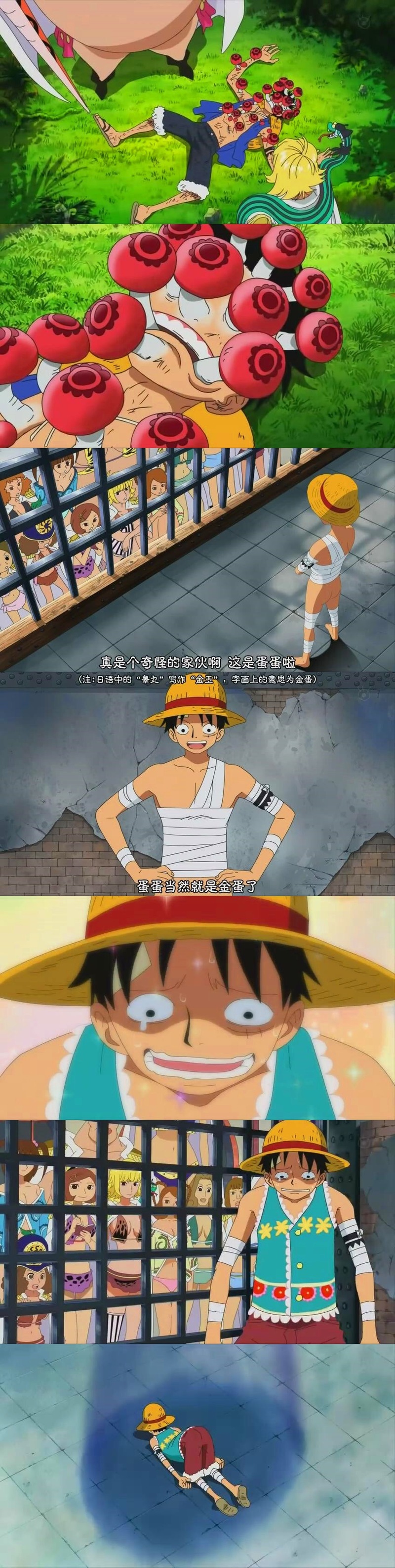 草帽团的黑历史[哈哈]