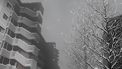 世上生物总是互相争夺互相残杀，大家都视这些为理所当然，把自己的行为正当化[蔑视][战斗开始]