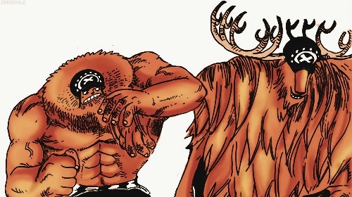 草帽团套图分享第二弹[思考]