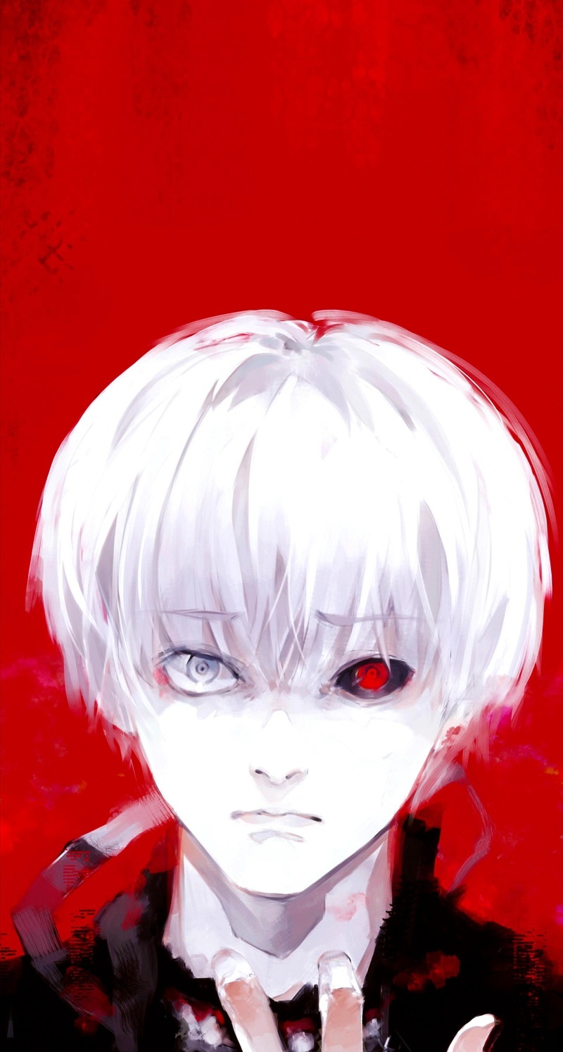 东京食尸鬼美图分享，月山还是那么的帅