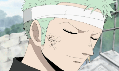 埋葬雪走时候的索隆，男神这么温柔真的好吗(✿✪‿✪｡)ﾉ