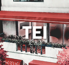 初春的阳光，透过玻璃窗，慵懒地洒在书上，明媚而不耀眼，一本书，两个人，一杯咖啡，故事开始的地方，同样也是故事结束的地方，注定无法安定的——安 定 区≧ε ≦