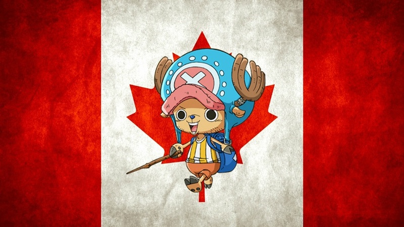 草帽一伙的壁纸分享，国籍版