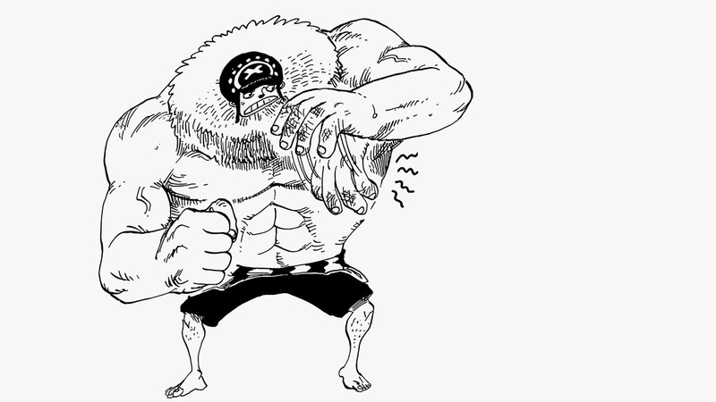 乔巴各种形态变形，话说人人果实是动物系还是超人系[思考]