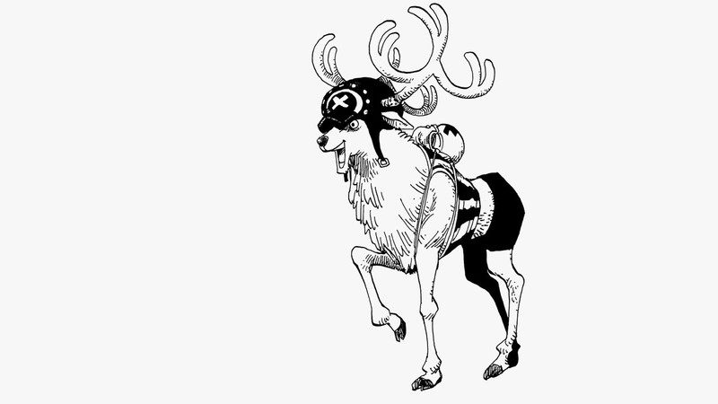 乔巴各种形态变形，话说人人果实是动物系还是超人系[思考]