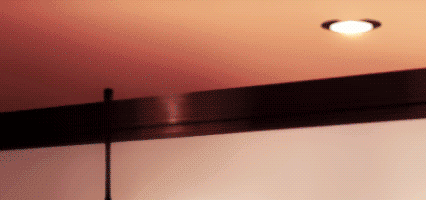 东京食尸鬼经典鸟类镜头≧ε ≦