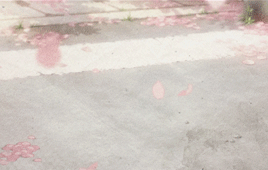 四月是你的谎言唯美场景欣赏，连风都听不到，听不到≧ε ≦